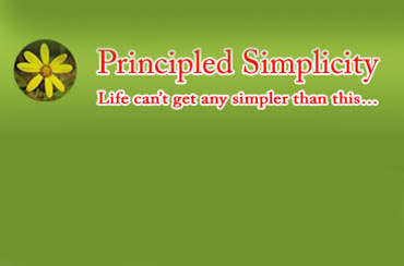 Principled Simplicity